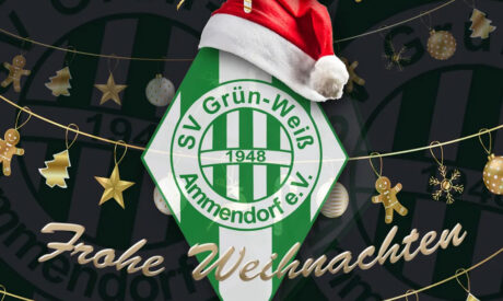 Frohe Weihnachten und einen guten Rutsch 💫