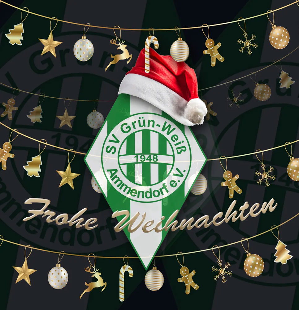 Mehr über den Artikel erfahren Frohe Weihnachten und einen guten Rutsch 💫